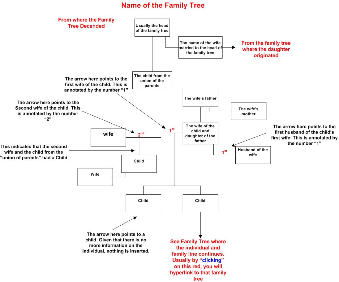Family Tree Examples With Explanation Free Printable Template